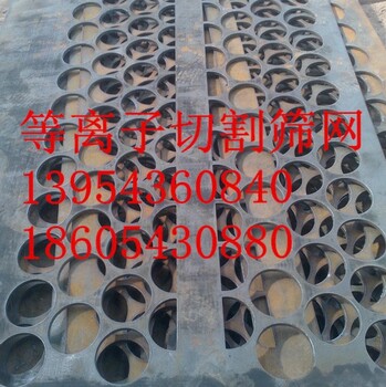 篩網(wǎng)山東篩網(wǎng)錳鋼篩網(wǎng)