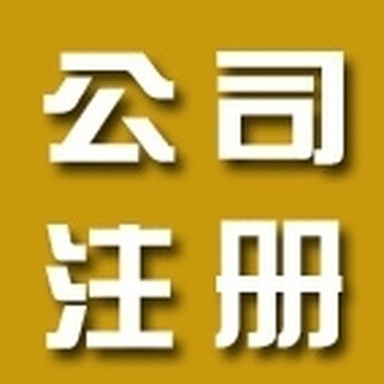 注册东莞公司、无需地址、免费申请一般纳税人