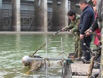 温州龙湾区污水池清理服务周到图片4