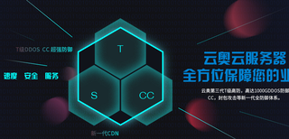 服务器租用与托管、云主机、vps租用图片4