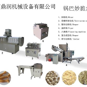 鼎润机械DSE油炸食品生产设备