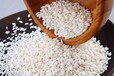 济南鼎润机械方便米饭生产设备