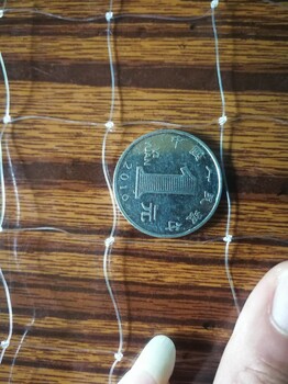 廠家現(xiàn)貨密度好網(wǎng)孔2.5公分有效防鳥