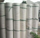 防蟲網溫室專用A大棚防蟲網A綠色蔬菜防蟲網