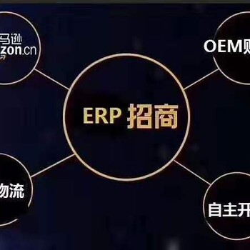 跨境电商亚马逊ERP系统代理、OEM仓库打包系统定制