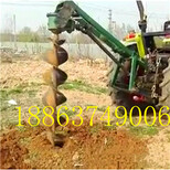 天津挖坑机大型挖坑机价钱图片0