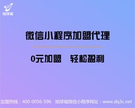 西双版纳小程序加盟代理招商中_迅速帮商家争顾客_实现引流目的项目-地球城图片0