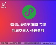 洛阳小程序加盟代理,地球城小程序加盟代理,国内互联网加盟好项目图片0