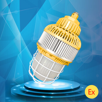 LED防爆灯具油站仓库节能泛光100W工业照明灯