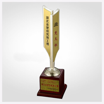 獎(jiǎng)杯制作-制做獎(jiǎng)杯-金屬獎(jiǎng)杯-獎(jiǎng)杯廠家