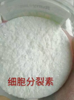 细胞分裂素6-苄氨基嘌呤6-BA旭阳农业