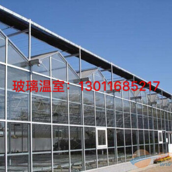 北京建100亩玻璃温室需要多少钱？