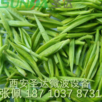 茶叶杀青干燥设备绿茶杀青机干燥机