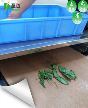 大棚绿色蔬菜微波干燥设备干燥机连续24小时生产