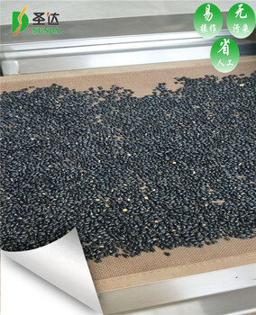 黑豆熟化机隧道式微波熟化设备