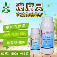 有什么特效药治桃树流胶病图片
