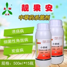 芒果炭疽病用什么药最好有机农药靓果安中草药杀菌剂图片