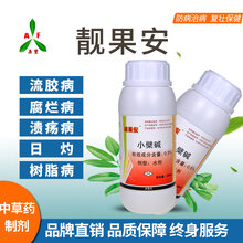 芒果白粉病专用有机农药靓果安图片