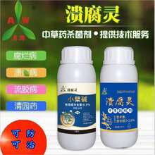 杨梅枝枯病农药溃腐灵厂家销售图片