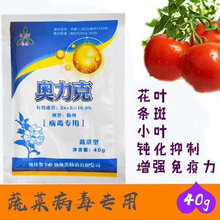 番茄病毒病专用农药病毒病抑制剂蔬菜病毒病专用图片