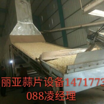 山东省玛丽亚蒜片18T/24小时加工制作成套设备厂家供应