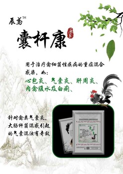 鸡肾传支怎么样治疗肾传支症状牧匠生物舒畅