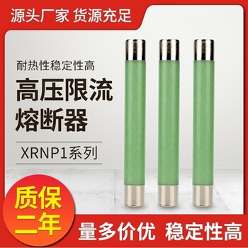 户内高压限流熔断器XRNP1-3.6KV