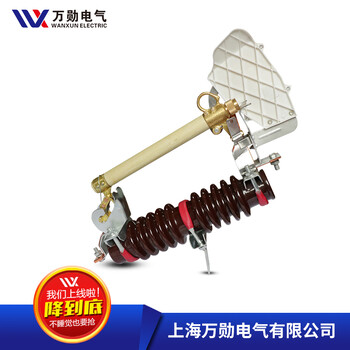 跌落式熔断器_RW11-12F/100A