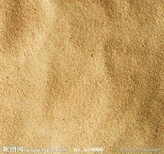 沙石砂石图片3