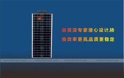 50W一体化太阳能路灯全球同步销售新农村建设太阳能一体化路灯图片4