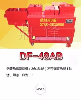 厂家广东鼎锋牌钢管除锈刷漆机DF-48AB