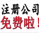 专业公司注册、注册代理记账报税、税务汇算清缴代理