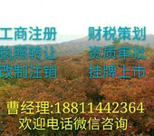 成立北京出境旅游公司需要什么条件