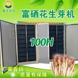 100H生芽机_花生芽机价格_花生芽机批发/采购图片0