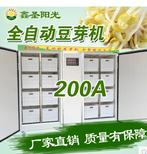 200A鑫圣阳光豆芽机商用全自动豆芽机豆芽菜机器生豆芽菜机图片0