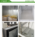 200A鑫圣阳光豆芽机商用全自动豆芽机豆芽菜机器生豆芽菜机图片4