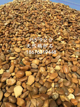 鹅卵石图片广东鹅卵石图片天然鹅卵石高清大图8