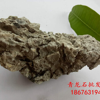 廣東青龍石廠家小英石圖片約巴掌大的魚缸石英石盆景石價格8