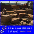 安徽黄蜡石价格宏业奇石场主营平台石台面石黄蜡石假山石8图片