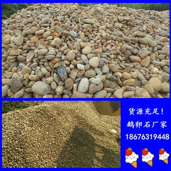 過濾鵝卵石中山過濾鵝卵石價格天然河卵石廠家8
