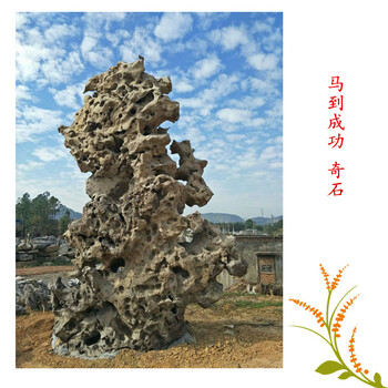 奇石，馬到成功奇石，廣東英德奇石高清大圖8