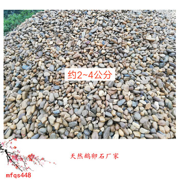 鵝卵石價格英德鵝卵石廠家，河卵石圖片8