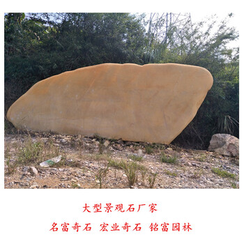 大型景觀石廠家四川園林景觀石價(jià)格大型黃蠟石批發(fā)8