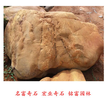 嘉興噸位黃蠟石大塊景觀石擺草坪公園黃蠟石案例8
