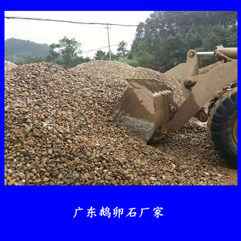 園林鋪路鵝卵石廣東鵝卵石廠家宏業(yè)奇石場(chǎng)長(zhǎng)期供應(yīng)河卵石8