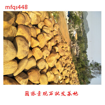 黃蠟石發(fā)貨中廣東黃水石廠家宏業(yè)奇石場精美小黃蠟石報(bào)價(jià)8