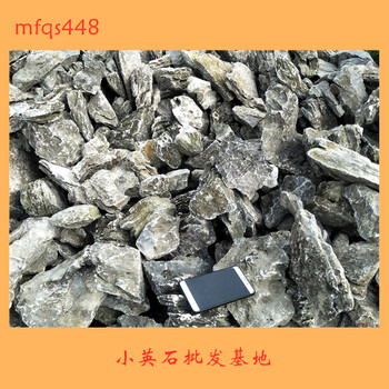 小英石批發(fā)基地廣東英石之鄉(xiāng)-宏業(yè)奇石場(chǎng)青龍石現(xiàn)貨圖片8