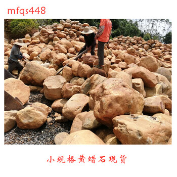 黃蠟石價(jià)格光滑圓潤的黃蠟石圖片清遠(yuǎn)黃蠟石廠家8