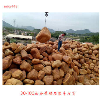 黃蠟石光滑圓潤的黃蠟石現(xiàn)貨廣州有景觀石批發(fā)8