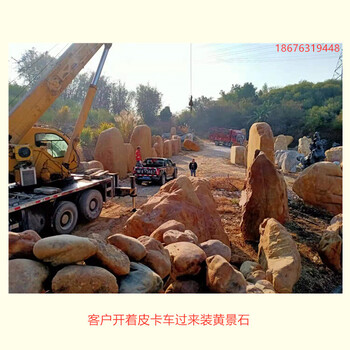 黃景石批發(fā)基地私人庭院造景用黃景石廣東黃蠟石廠(chǎng)家8